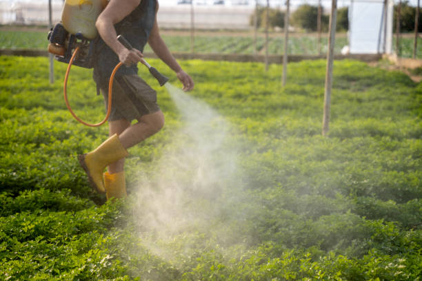 Best Insect Control  in Lawrenceburg, IN