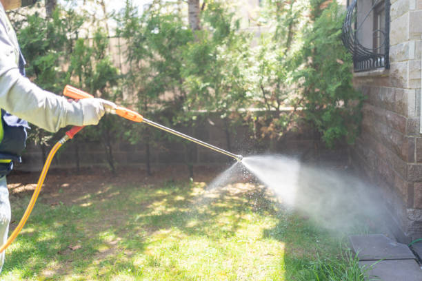 Best Flea Control Services  in Lawrenceburg, IN