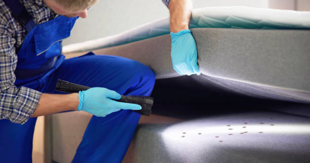 Best Rat Extermination Near Me  in Lawrenceburg, IN