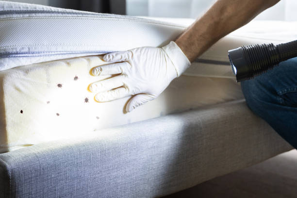 Best Ant Control Services  in Lawrenceburg, IN