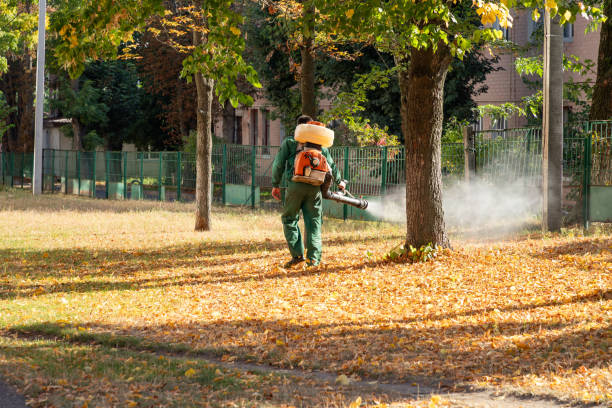 Best Spider Control Near Me  in Lawrenceburg, IN