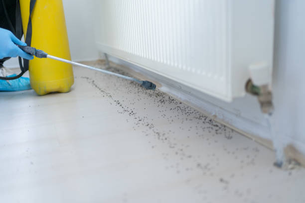 Best Mosquito Control Services  in Lawrenceburg, IN