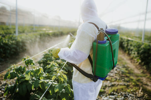 Best Best Pest Control Companies  in Lawrenceburg, IN